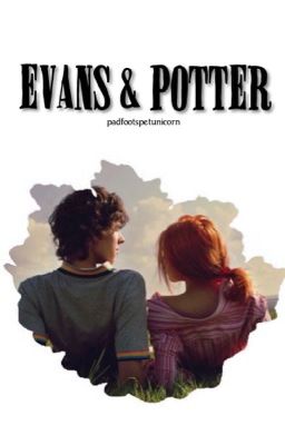 Evans & Potter