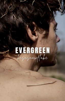 evergreen ↠ harry styles ✓