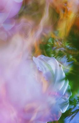 everything is romantic | duonghung