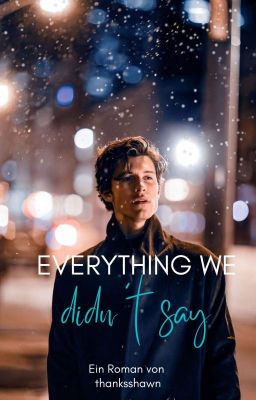 Everything We Didn't Say | Shawn Mendes Fanfiction