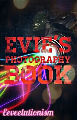 Evie's Photography Book