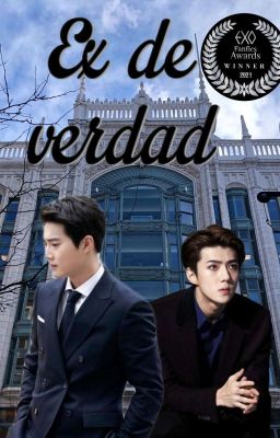 Ex de verdad || SeHo