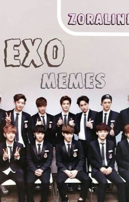 EXO MEMES