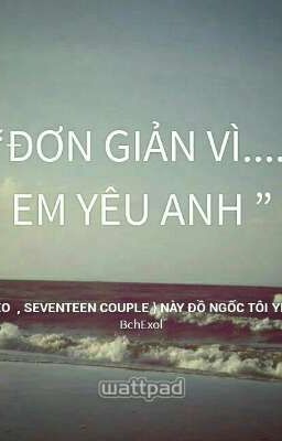 { EXO  , Seventeen couple } Này đồ ngốc tôi yêu em