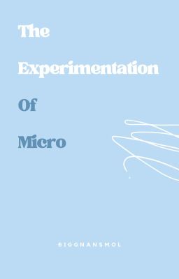 Experimentation of Micro {DISCONTINUED}