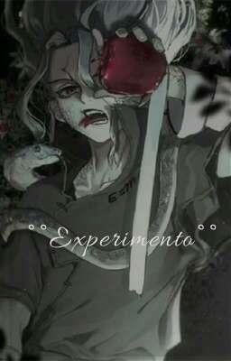 °•Experimento•°