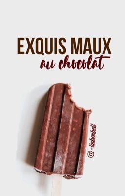 Exquis maux au chocolat