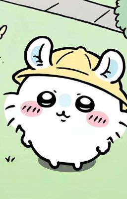 EXSH || love and cry