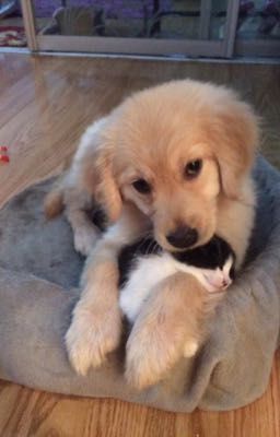 |EXSH| - Our Memories