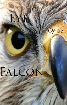 Eye of the Falcon