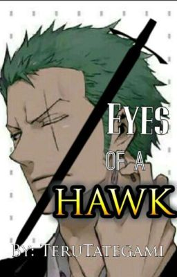 Eyes of a Hawk: Zoro x Reader