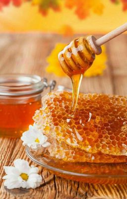 🍯『 Eɱραʅαɠσʂα ɱσʅҽʂƚια 』🍯 ♪ 🐝『Lυȥυρʅαყ』🌻