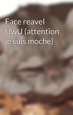 Face reavel UwU (attention je suis moche)