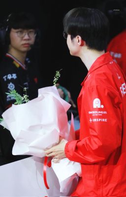 Fado/Faran • Em sợ phải mở lòng.