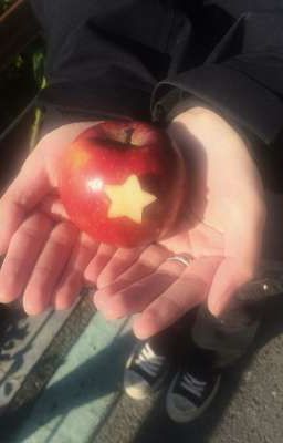 Fado; Vườn Hoa Con Cá