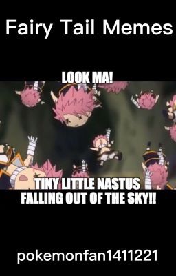 Fairy Tail memes