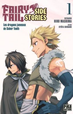 Fairy Tail : Side Stories {Tome 1}