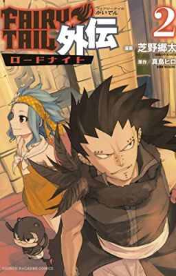 Fairy Tail : Side Stories {Tome 2}