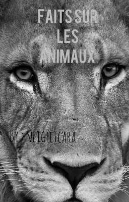 Faits sur les animaux 