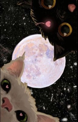 「Fakenut」 Love My Star