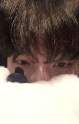 [Fakenut] Mèo Đậu