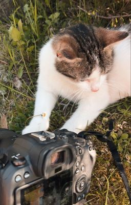 fakenut| người giữ ký ức.