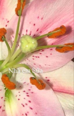 Fakenut • Nhà em Sữa