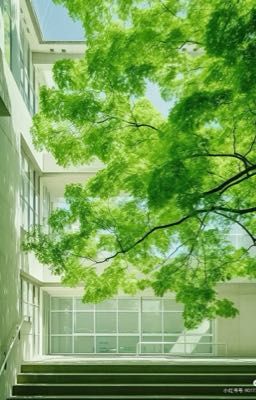 [Fakenut R18] Alpha nhỏ là bạn trai của học trưởng 