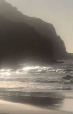 fakenut - sớm muộn thì