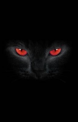   [Faker x Deft] Kuro - Cậu Có Nhớ Tôi Không?