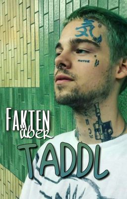 Fakten über Taddl