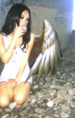 fallen angle [ mason × congb ]