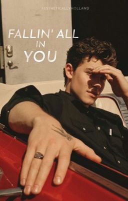 FALLIN' ALL IN YOU ↬ s. mendes