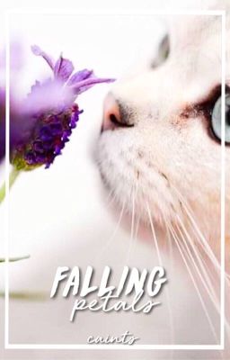 falling petals | warrior cats story