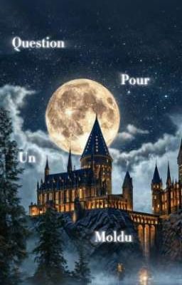 FAN DE HARRY POTTER : Question pour un Moldu 