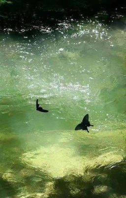 [FANFIC] [CỰC HÀNG] SENENADE - DẠ KHÚC