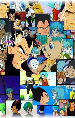 [Fanfic: Dragon Ball]: Vegeta Và Bulma