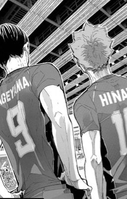 fanfic | hq | kagehina - con cá nuốt chửng mặt trời