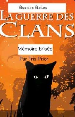 Fanfictions La guerre des Clans Mémoire brisée 