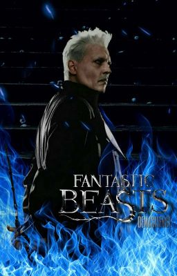 Fantastic Beasts preferencje