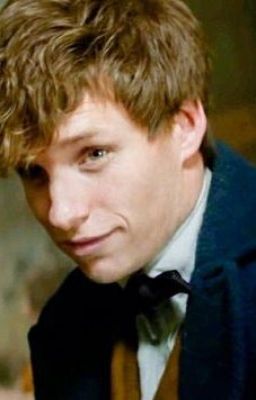 Fantastic Wish and Where to Find Him (Newt Scamander x reader)