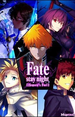 Fate: Encuentro Destinado