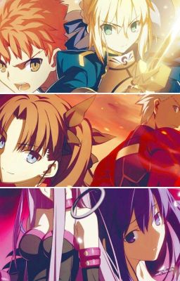 fate multiverso