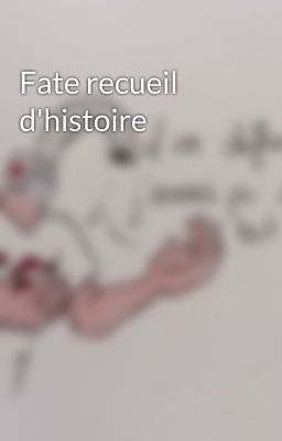 Fate recueil d'histoire