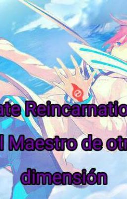 Fate Reincarnation: El Maestro de otra Dimensión