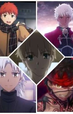 Fate universos