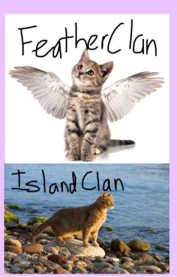 FeatherClan and IslandClan Roleplay