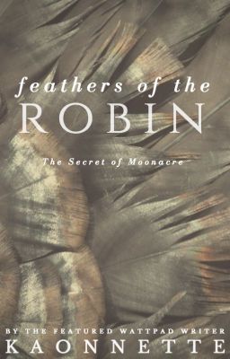 Feathers of the Robin