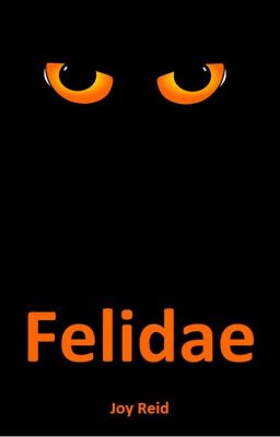 Felidae