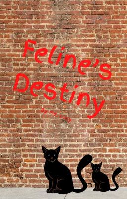 Feline's Destiny (Very Cringe Old Story)